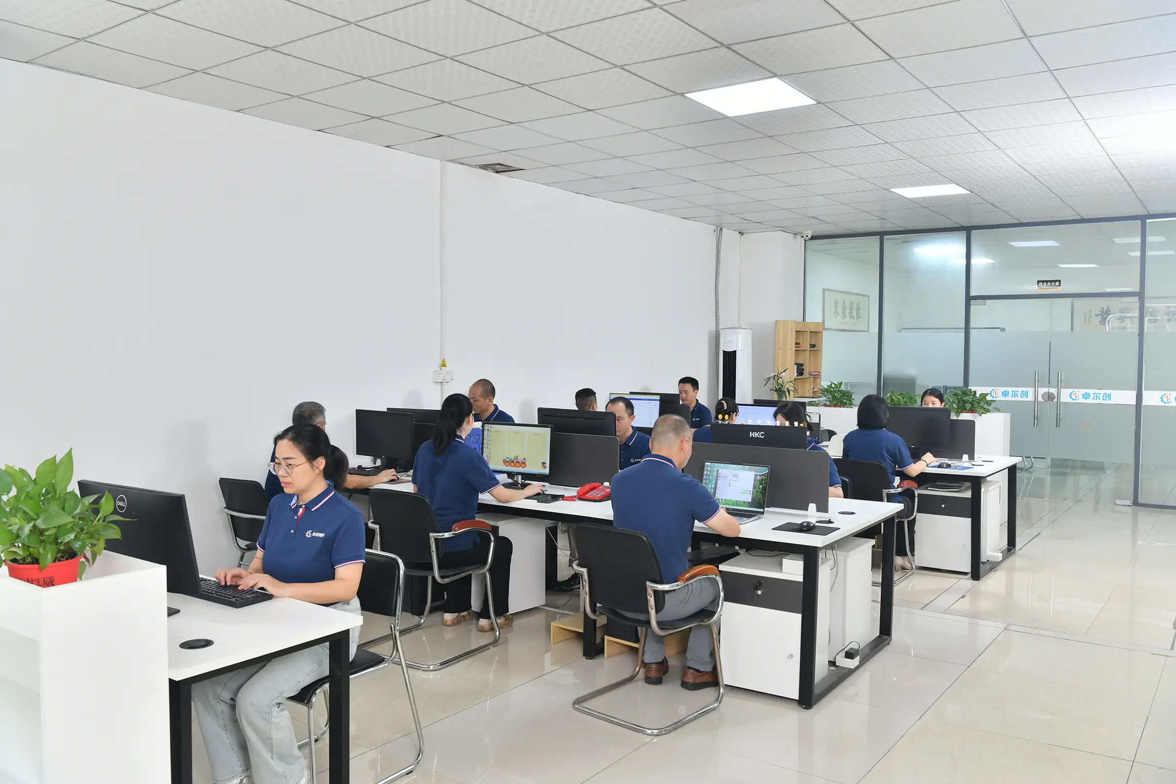 professional team & efficient service